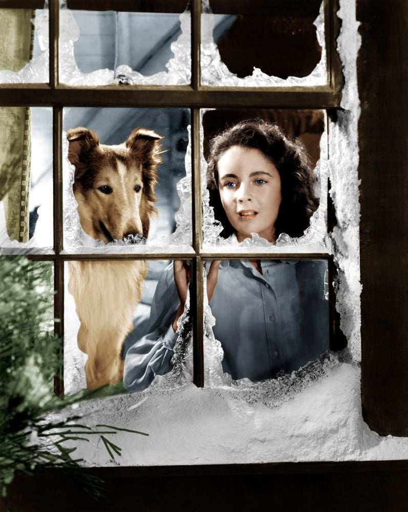 Courage of Lassie Poster Print Featuring Elizabeth Taylor (1946)