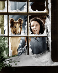 Courage of Lassie Poster Print Featuring Elizabeth Taylor (1946)