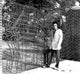 Elvis Presley Graceland Gates Poster Print - 4/26/57