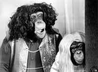 Lancelot Link, Secret Chimp Hour Poster Print – 8/13/70