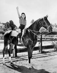 National Velvet Poster Print Featuring Lori Martin (1960-62)