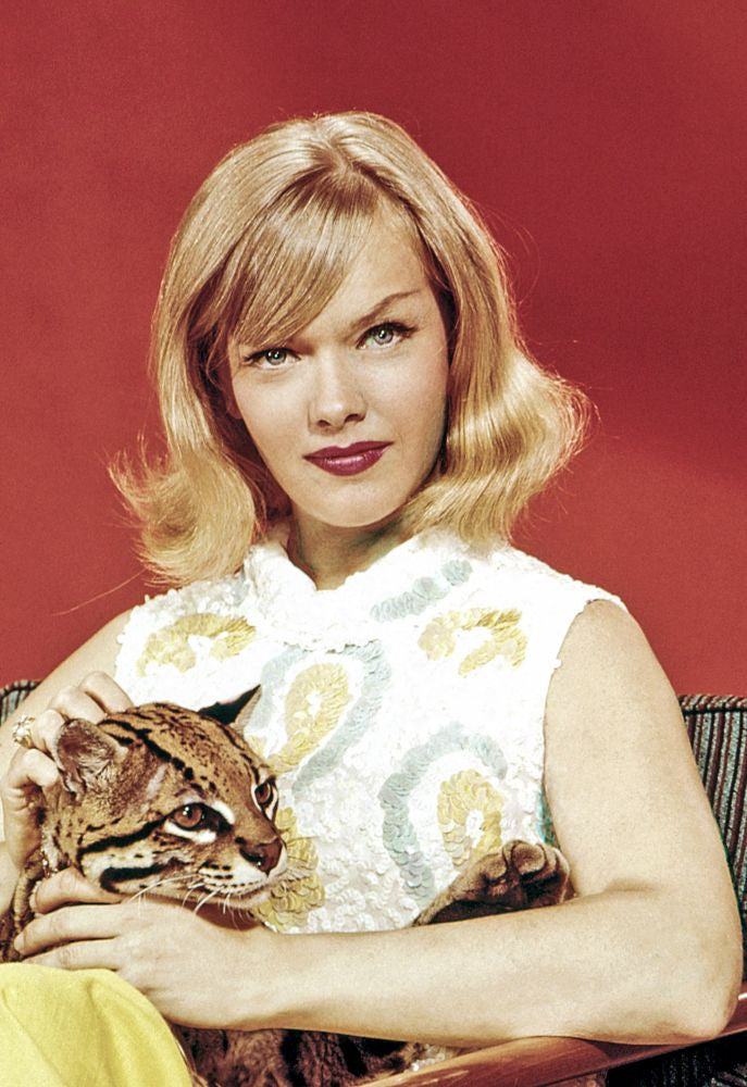 Honey West Poster Print Featuring Anne Francis (1965-66)