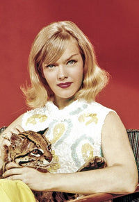 Honey West Poster Print Featuring Anne Francis (1965-66)