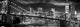 New York Freedom Tower Black and White Poster showcasing the iconic skyline.