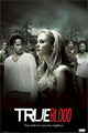 True Blood - Cast Trees Rolled Poster Print