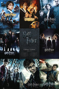 Harry Potter Collection Rolled Poster Print - 24x36