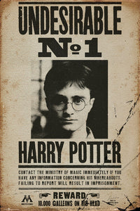 Harry Potter Undesirable No 1 Poster featuring iconic imagery from the series.