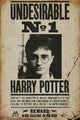 Harry Potter Undesirable No 1 Poster featuring iconic imagery from the series.