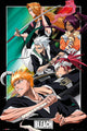 Bleach Group Poster featuring iconic anime characters