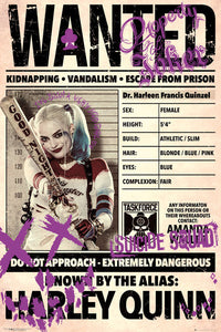 SUICIDE SQUAD Harley Wanted Poster Print - 22x34