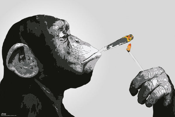 Steez Smoking Poster Print - Rolled Poster 22x34