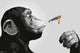 Steez Smoking Poster Print - Rolled Poster 22x34