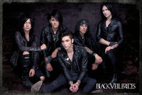 Black Veil Brides Group Sit Rolled Poster Print