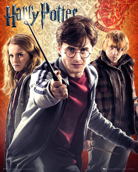 Harry Potter Trio Poster Print - 16x20 Rolled Art