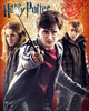 Harry Potter Trio Poster Print - 16x20 Rolled Art