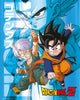 Dragon Ball Z Trunks and Goten Rolled Poster Print - 24x36