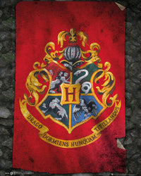 Harry Potter Hogwarts Flag Poster Print - 24x36