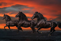 Bob Langrish Fantasy Horses Rolled Poster Print