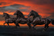 Bob Langrish Fantasy Horses Rolled Poster Print