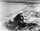 Gene Autry Looting on a Dead Man Photo Print showcasing a classic Western scene.
