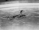Greta Garbo Swimming Front Stroke Photo Print