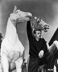 James Dean posed in black long sleeve shirt with white horse