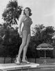 Rita Hayworth standing on diving board in swimming suit photo print