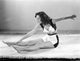 Midriff Reaching Toes Portrait Photo Print showcasing elegance and form.