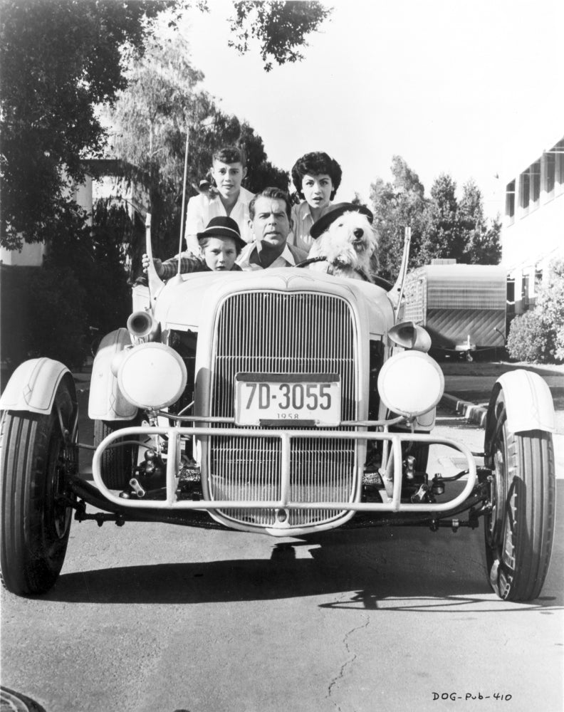 Black and white photo print of a scene from the Shaggy Dog movie