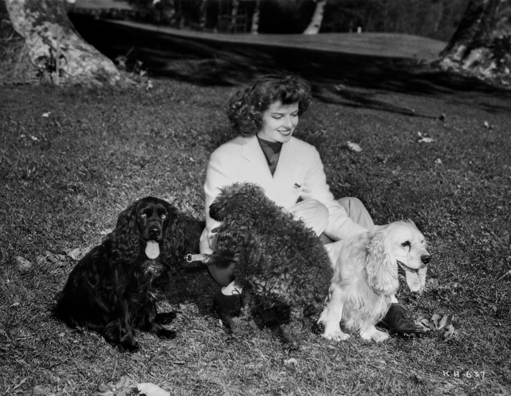 Katharine Hepburn seated on grass with her dogs photo print