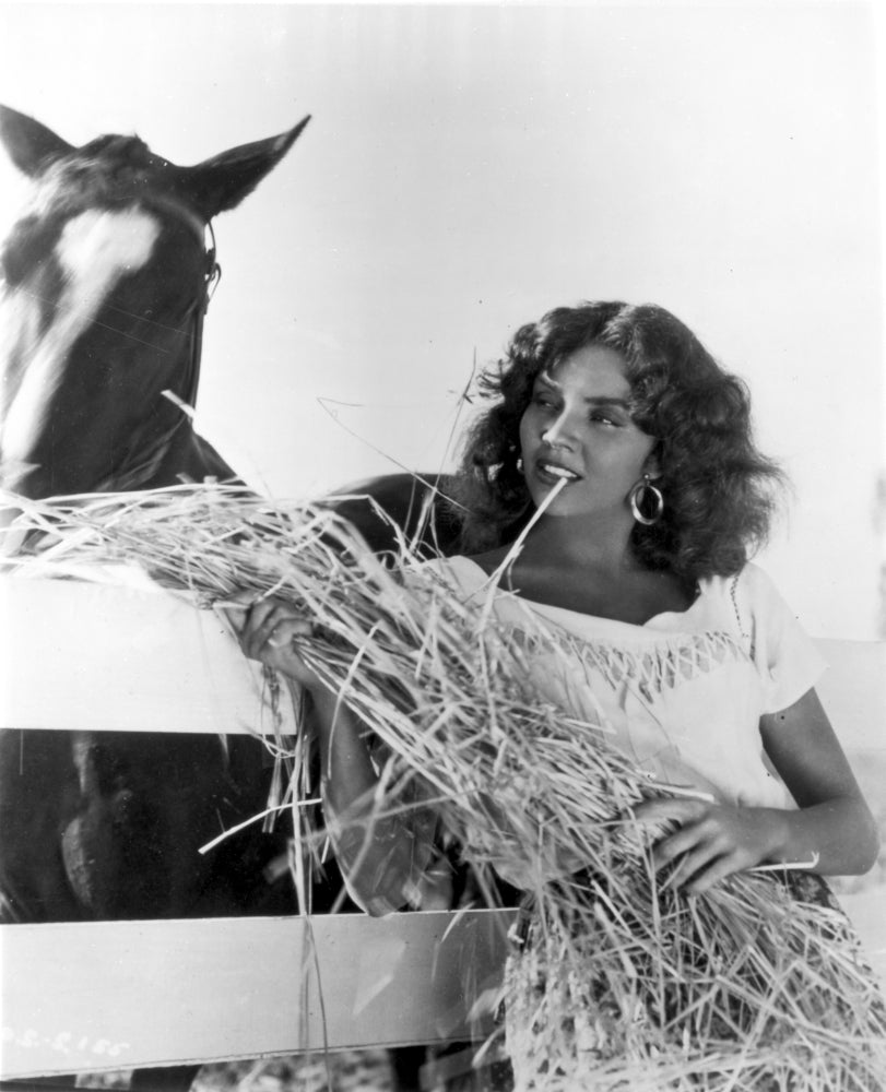 Jennifer Jones Feeding Horse with Hay Photo Print