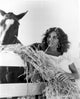 Jennifer Jones Feeding Horse with Hay Photo Print