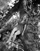 Brenda Joyce Sitting on a Tree Photo Print