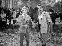 Escape to Burma photo print capturing an iconic scene from the film.
