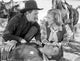 Texas Stampede Photo Print capturing the essence of the Wild West.
