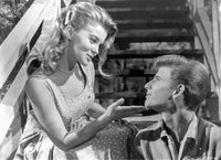 Bye Bye Birdie photo print of a lady in a printed dress talking to a man in a polo shirt.