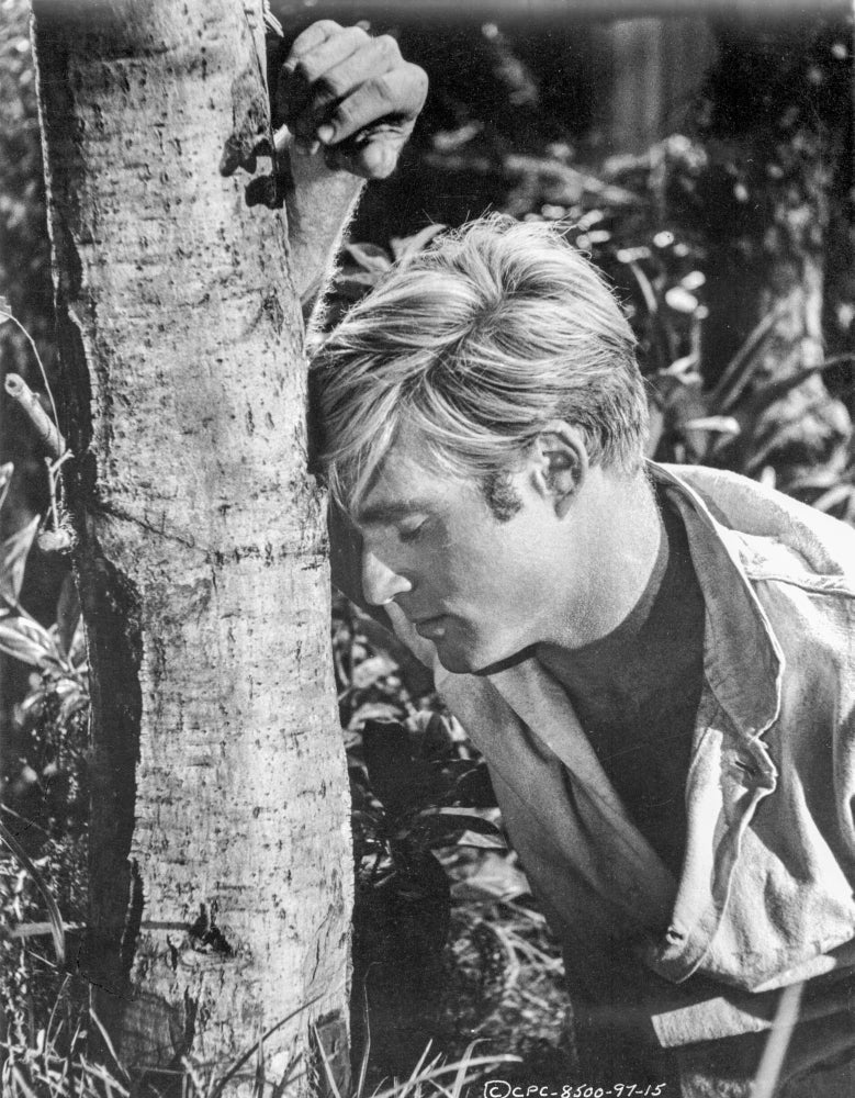 Chase Feeling Wasted in The Tree Photo Print showcasing whimsical nature scene.