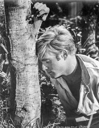 Chase Feeling Wasted in The Tree Photo Print showcasing whimsical nature scene.
