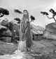 Androcles and the Lion Portrait Photo Print