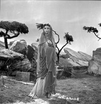 A Scene from Androcles and the Lion Photo Print displaying vibrant colors and detailed imagery.
