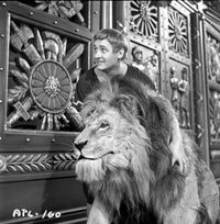 Androcles and the Lion photo print depicting a dramatic scene from the story.