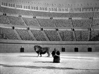 Androcles and the Lion photo print showcasing a classic scene.