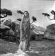 Androcles and the Lion Scene Photo Print showcasing classic theater art.