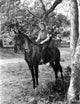 Beverly Roberts Ridding Horse Classic Photo Print