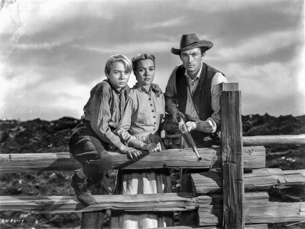 Photo print of a scene from The Yearling movie
