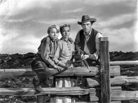 Photo print of a scene from The Yearling movie