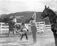 'Never a Dull Moment' photo print showcasing vibrant scene.