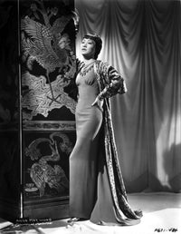Anna Wong wearing a long sheath dress with robe photo print