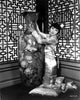 Anna Wong Kneeling Classic Photo Print