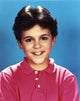 Fred Savage portrait photo print in red polo shirt, capturing iconic television history.